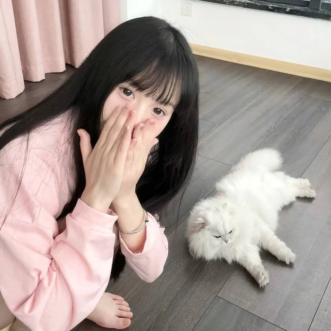 运动生涯