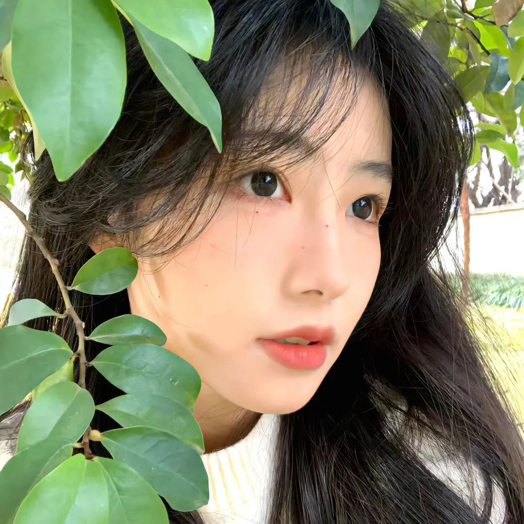 模特儿艳尸案
