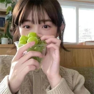 遇见企鹅